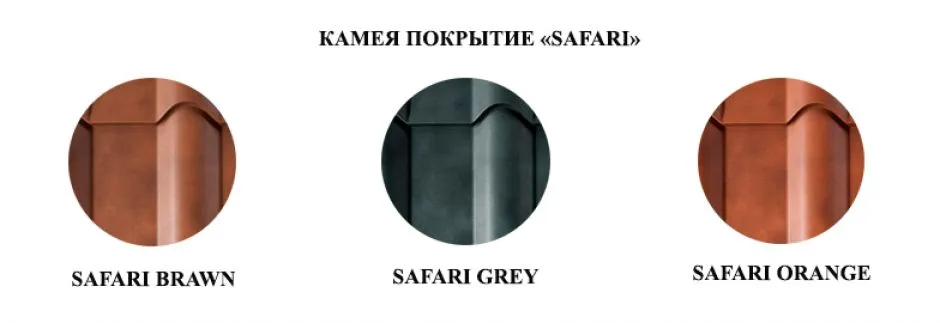 Safari